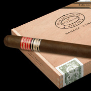 金のリングが『リミテッド』の証!