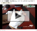 動画を見る